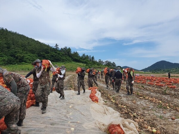 신안군, 장마철 대비 긴급 일손돕기 실시 1