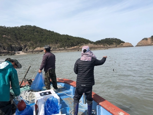 신안군! 지역특성 맞춤형 수산자원조성 박차 1