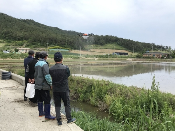 신안군, 드론으로 볍씨 뿌리고 노동력 절감..