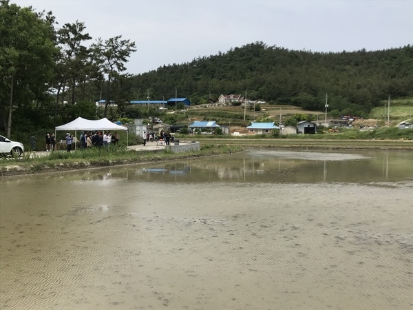 신안군, 드론으로 볍씨 뿌리고 노동력 절감..