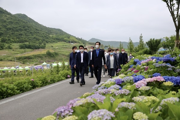 신안 도초도 팽나무 10리길‘환상의 정원’준공식 성료..'800만 송이 섬 수국 랜선 축제 10일간 개최' 5