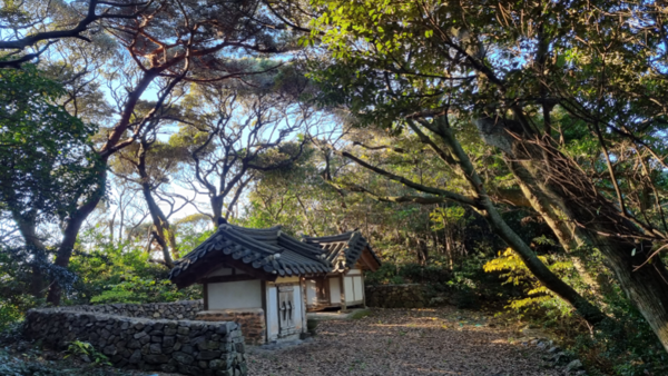 신안 주요 당산림 분포 실태조사 최종보고회 개최..'신안 당산림 세계문화유산 추진을 위한 초석 마련' 4