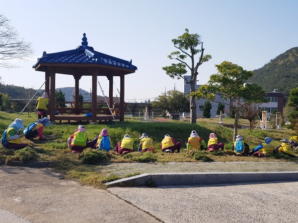 신안군, 노인 일자리 사업 2월 13일부터 본격 추진..