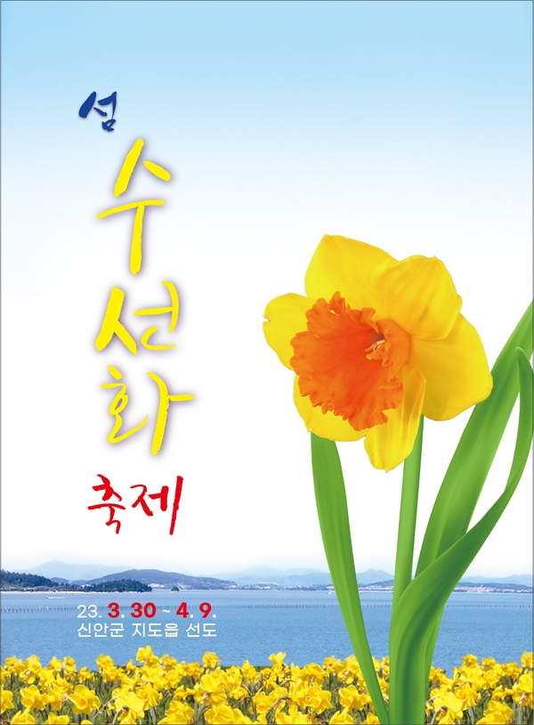 봄의 섬 선도! “섬 수선화 축제” 3월 30일 개막..'노란 봄의 향연, 수선화 향기 따라 힐링여행 오세요' 1