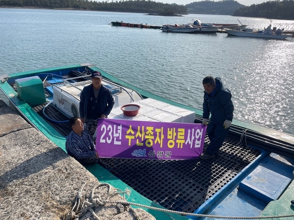 신안군, 청정해역에 어린 전복 방류..