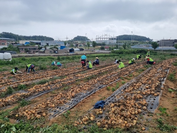 신안군 압해읍과 목포시 죽교동 도-농상생교류 활동 활발..