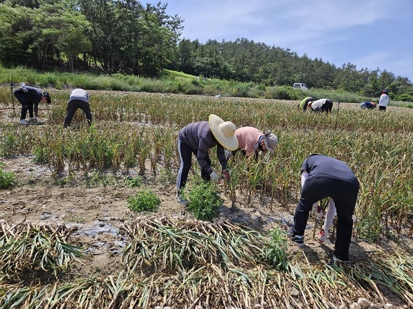 신안군 장산면-목포시 북항동 도·농 상생교류 활발..