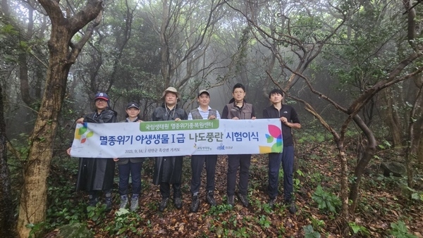 신안군, 멸종Ⅰ급 나도풍란 난대원시림의 보고 가거도에 이식..