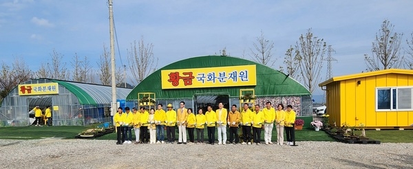 신안군, ‘팔금면 황금 국화분재 전시회’ 개최..