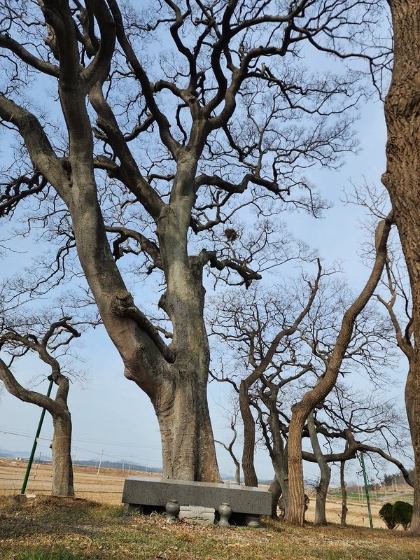 신안군, 당산림 분포 실태조사 보고서 발간..