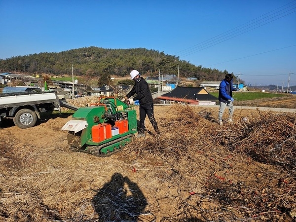 신안군, 고춧대 무료 파쇄해 줘서 고맙다!..