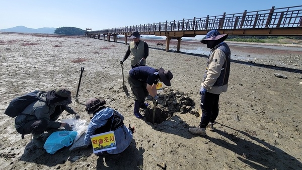 신안군, 국제적 해양 탄소 흡수원(블루 카본) 도시로 도약…