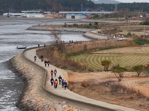 신안군, 지도읍 삼암산 등산(트레킹) 대회 성료..'삼암산 등산대회 성황... 건강과 화합, 지역 관광 활력 불어넣어' 4