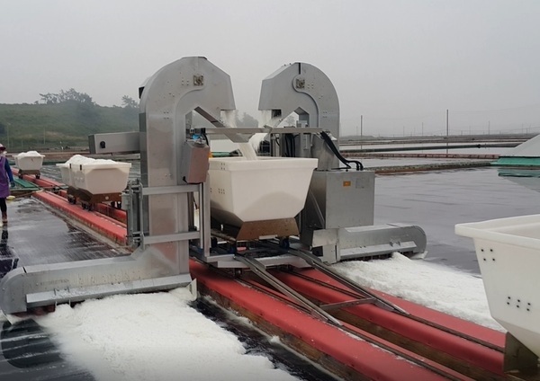 신안군, 염전 현대화로 천일염산업 경쟁력 강화 2