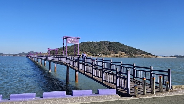 신안군 퍼플섬에 ‘1억 카페’???..