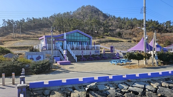 신안군 퍼플섬에 ‘1억 카페’???..