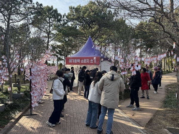 ‘섬 겨울꽃 축제’, 신안의 매력을 다시 한번 확인..