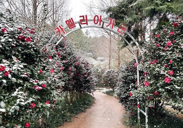 ‘섬 겨울꽃 축제’, 신안의 매력을 다시 한번 확인..
