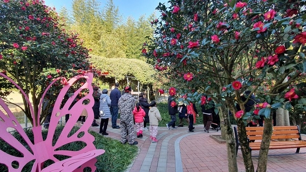 ‘섬 겨울꽃 축제’, 신안의 매력을 다시 한번 확인..