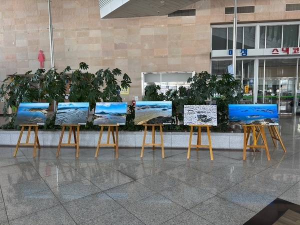 유네스코 세계자연유산 신안갯벌 목포연안여객선터미널 사진 전시 3