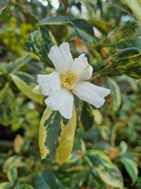 겨울과 봄을 담은 특별전 진행 중..