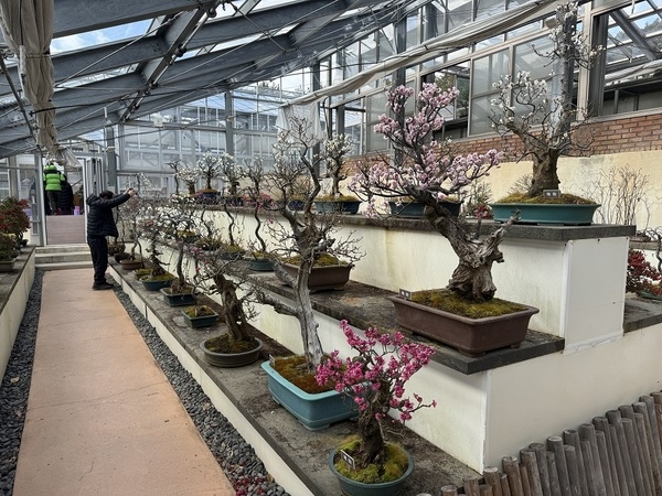 겨울과 봄을 담은 특별전 진행 중..