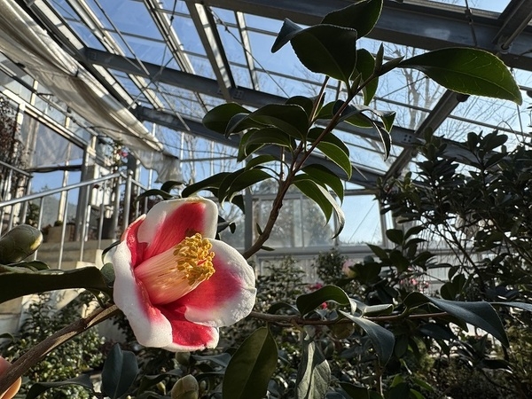 겨울과 봄을 담은 특별전 진행 중..