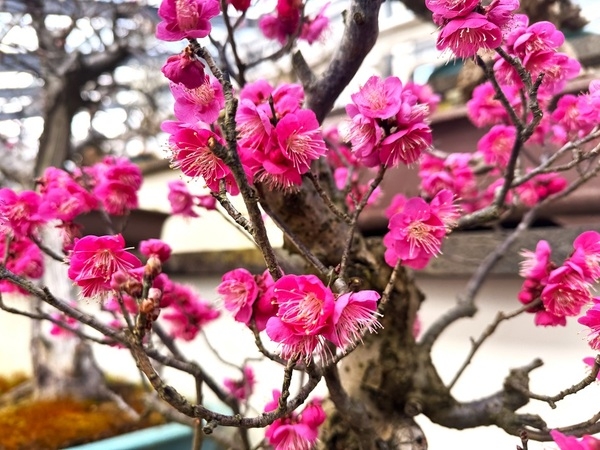 겨울과 봄을 담은 특별전 진행 중..