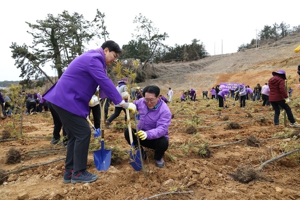 신안군, 전국 첫 식목행사 개최..