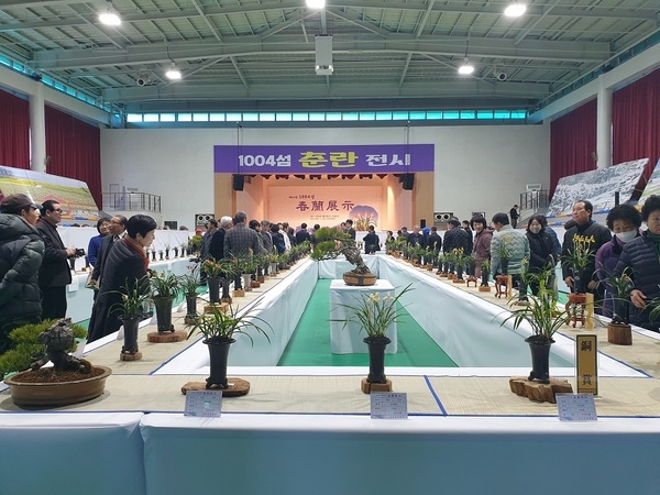 명품 춘란의 자생지 암태도에서 열네번째 춘란전시 개최..