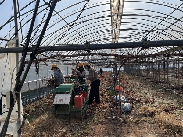 신안군, 찾아가는 영농부산물 파쇄 무료 지원..
