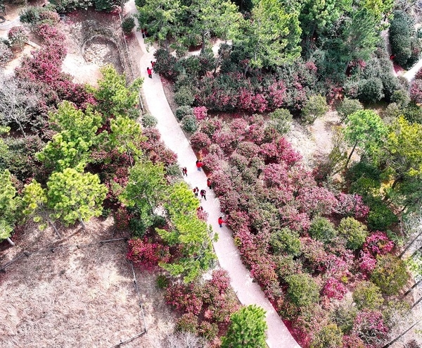 ‘섬 겨울꽃 송별축제 : 겨울의 작별인사 ’개막..