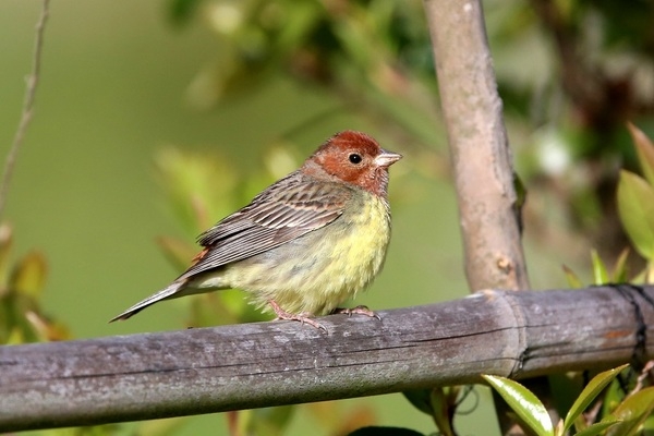 신안군, 주민과 함께하는 2025년 생태계서비스지불제 사업 추진..