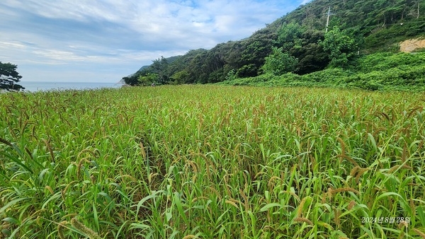 신안군, 주민과 함께하는 2025년 생태계서비스지불제 사업 추진..