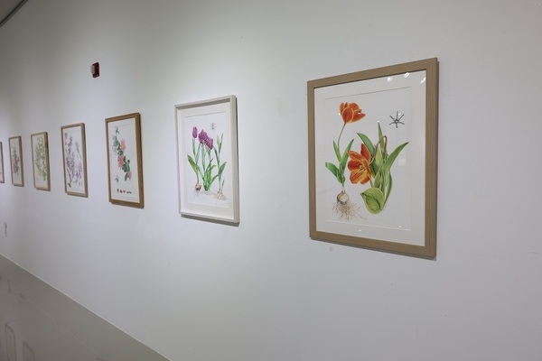 신안군 저녁노을미술관, 2025년 첫 기획전 개최 3