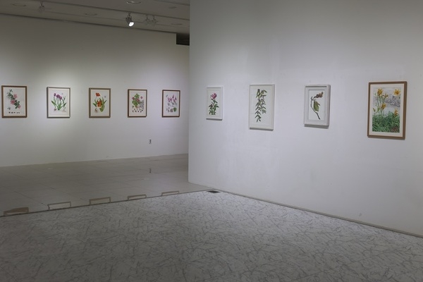 신안군 저녁노을미술관, 2025년 첫 기획전 개최 5