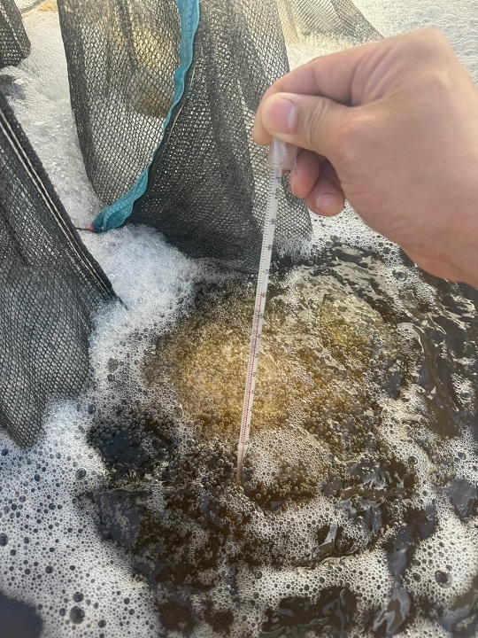 신안군, 볍씨 온탕소독 무료 서비스 13개소 실시..