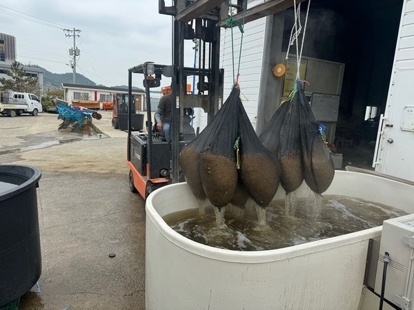 신안군, 볍씨 온탕소독 무료 서비스 13개소 실시..