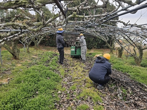 신안군, 산불예방, 미세먼지 저감 등 파쇄지원 총력..