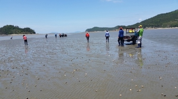신안군! 기후변화에 맞춘 우량 수산종자 방류 본격 시작..