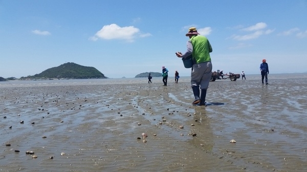 신안군! 기후변화에 맞춘 우량 수산종자 방류 본격 시작..