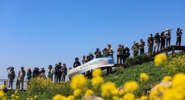 “철새도 보고, 가족여행도 하고”..K-관광섬 흑산도 탐조대회 성료... 철새 115종 기록 4