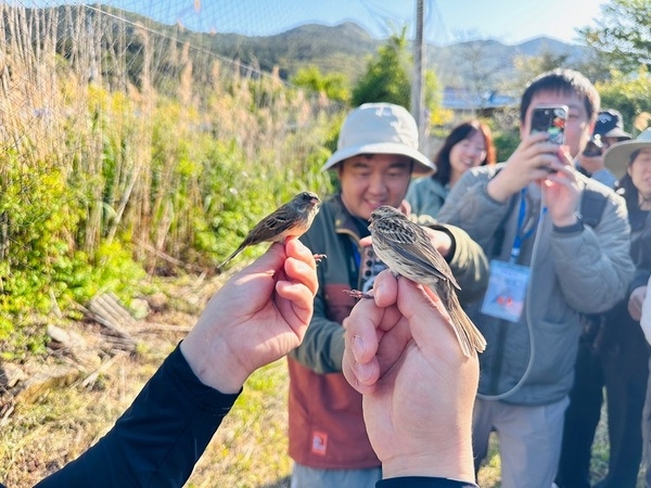 “철새도 보고, 가족여행도 하고”..K-관광섬 흑산도 탐조대회 성료... 철새 115종 기록 5