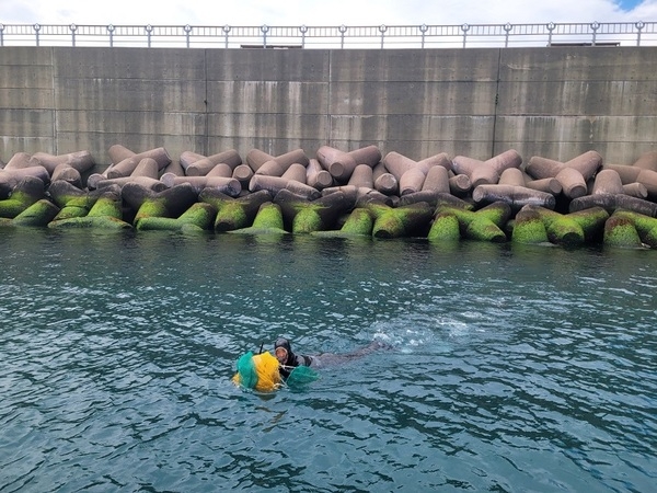 신안군, 청정해역에 어린 해삼 20만 마리 방류..