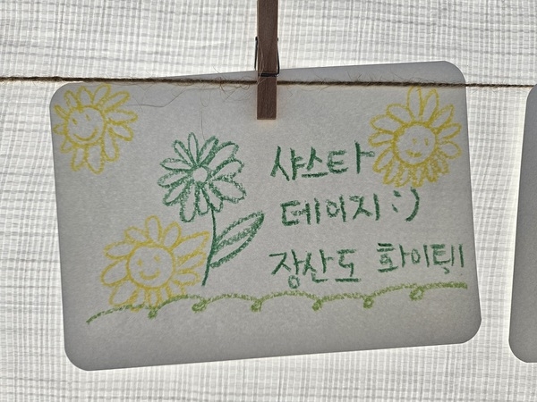 제1회 섬 샤스타데이지 꽃 축제! 성황리 마무리..