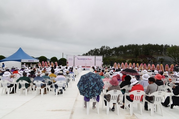 제1회 섬 샤스타데이지 꽃 축제! 성황리 마무리..