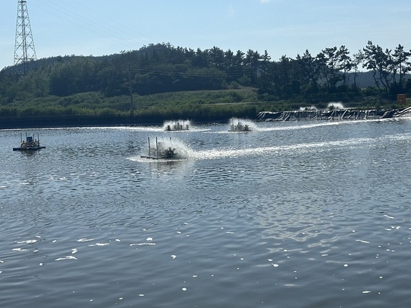 신안군 새우양식장, 4억 마리 종자 입식 완료 1