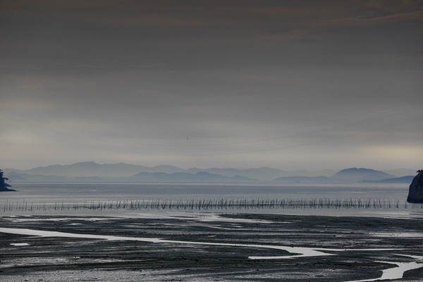 섬과 예술이 만난 순간, 신안 신의도·하의도의 찰나를 담다..