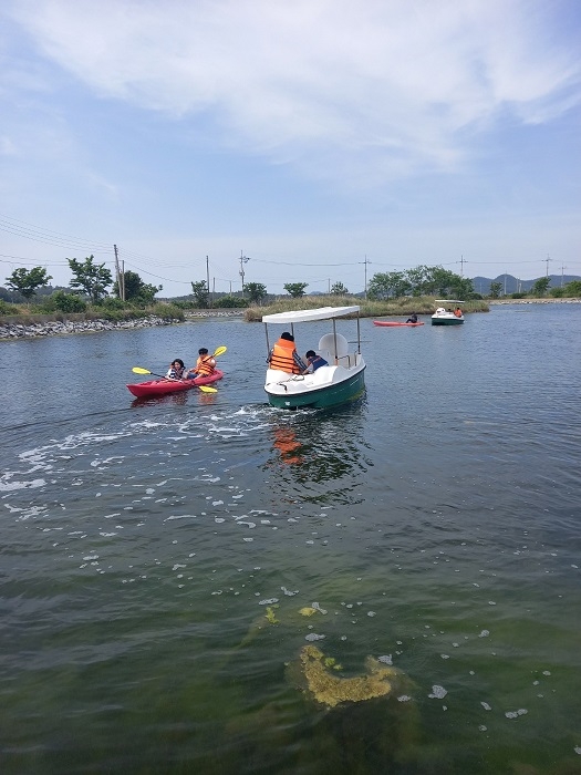 제15회 섬 밴댕이 축제 종료..'제철 수산물과 생태관광의 어우러짐 속에 마무리' 3
