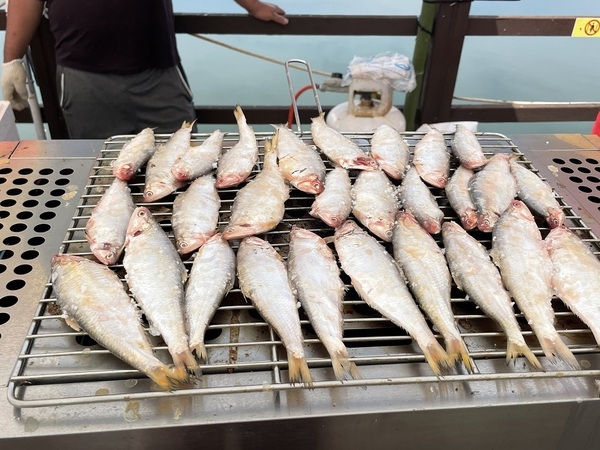 제15회 섬 밴댕이 축제 종료..'제철 수산물과 생태관광의 어우러짐 속에 마무리' 4